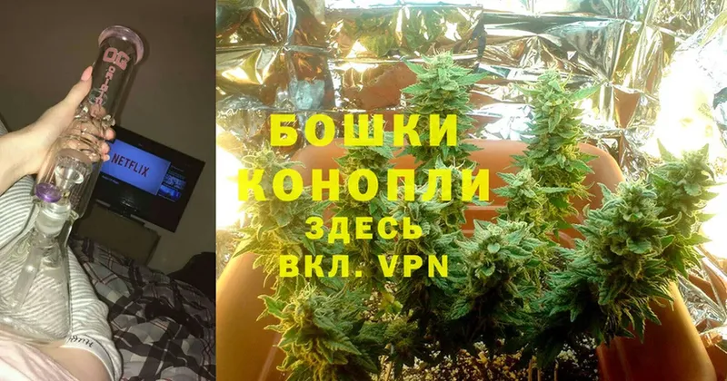 ссылка на мегу зеркало  где купить наркоту  Лысьва  Канабис SATIVA & INDICA 